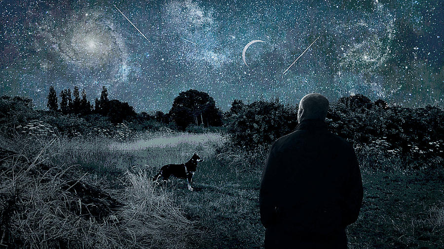 A German Shepard Dog And His Owner Observe The Night Sky In Cheshire