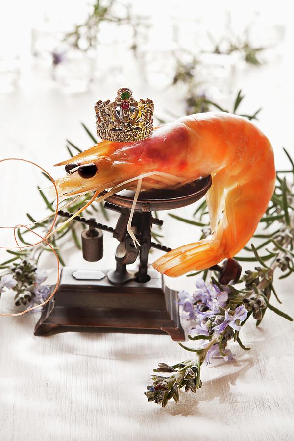 A Giant Prawn On A Pair Of Scales Photograph by Atelier Hmmerle