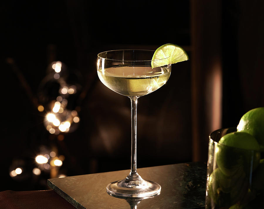 A Gimlet Against A Dark Background Photograph by Misha Vetter