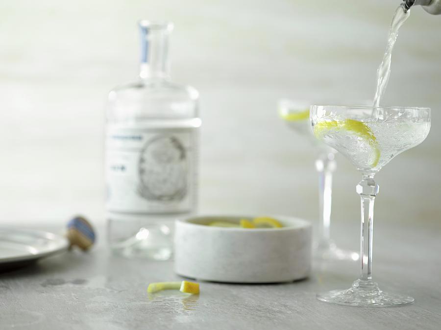 A Gin Martini With A Lemon Peel Photograph by Laurie Proffitt