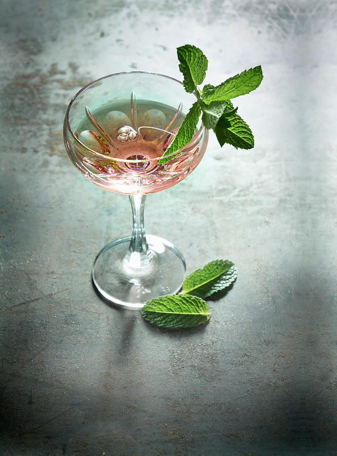 A Gin & Tonic With Mint Leaves Photograph by Christoph Maria Hnting