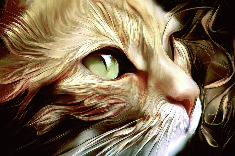 A Ginger Cat Named Jasmine Digital Art by Peggy Collins