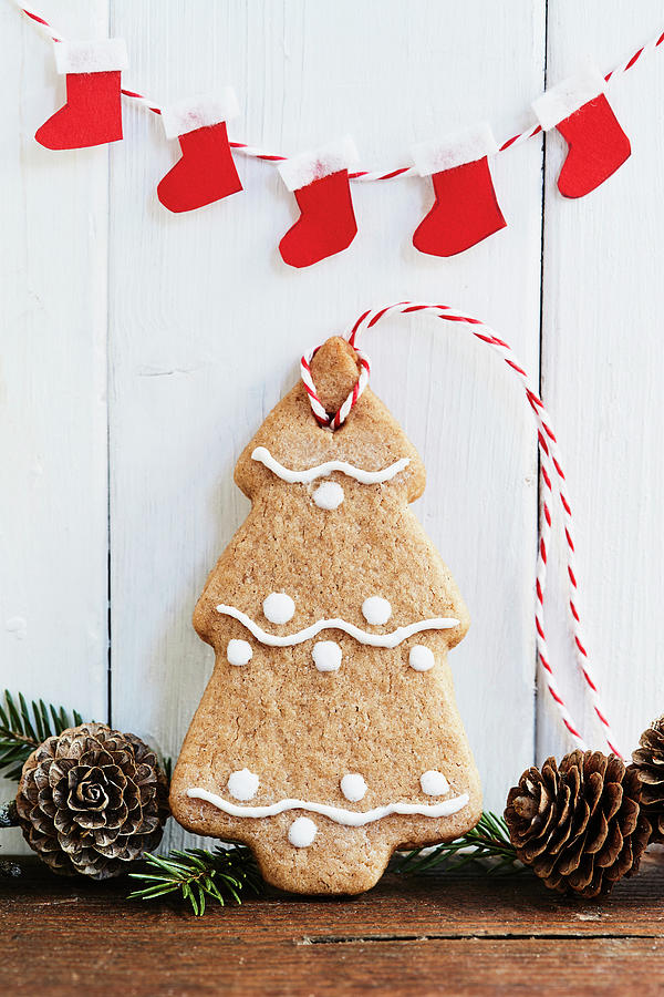 A Gingerbread Fir Tree Christmas Tree Decoration Photograph by Brigitte Sporrer