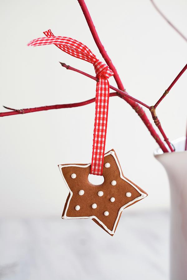 A Gingerbread Star Hanging From A Twig Photograph by Mariola Streim