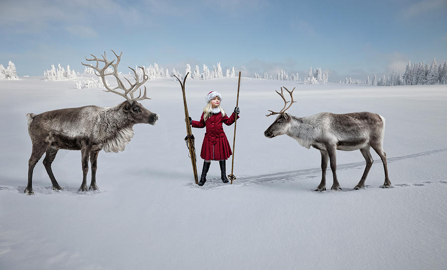 A Girl With Skis And Two Reindeer In Photograph by Per Breiehagen