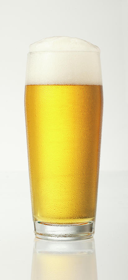 A Glass Of Beer Against A White Background Photograph by Gerhard Bumann