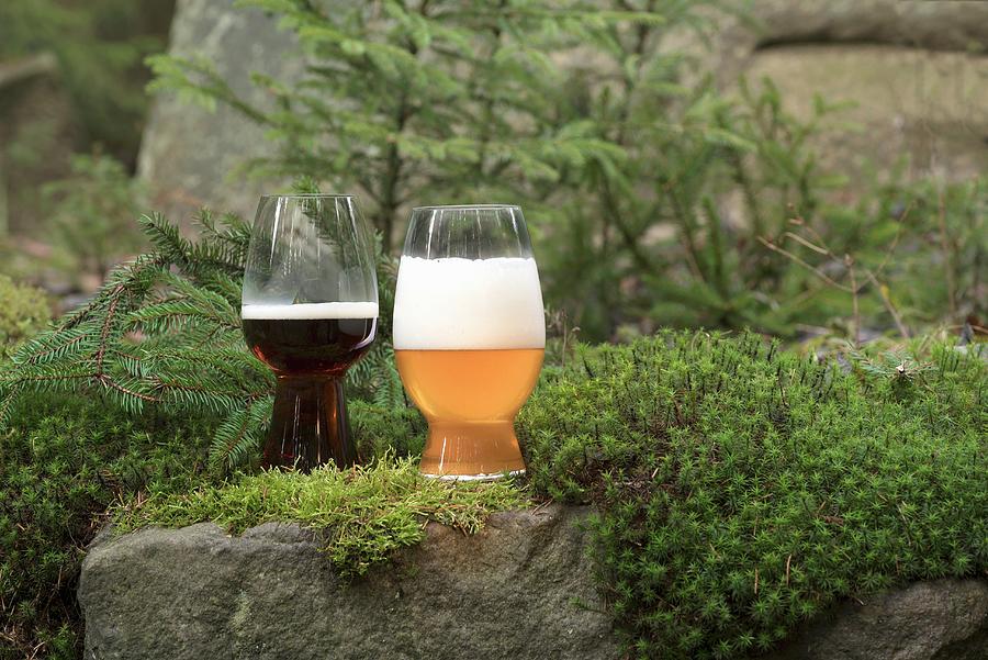 A Glass Of Dark Beer And A Wheat Beer In A Forest Photograph by Feig & Feig