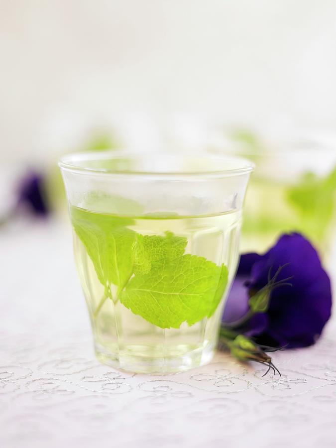 A Glass Of Peppermint Tea With Mint Leaves Next To A Violet Photograph by Myles New