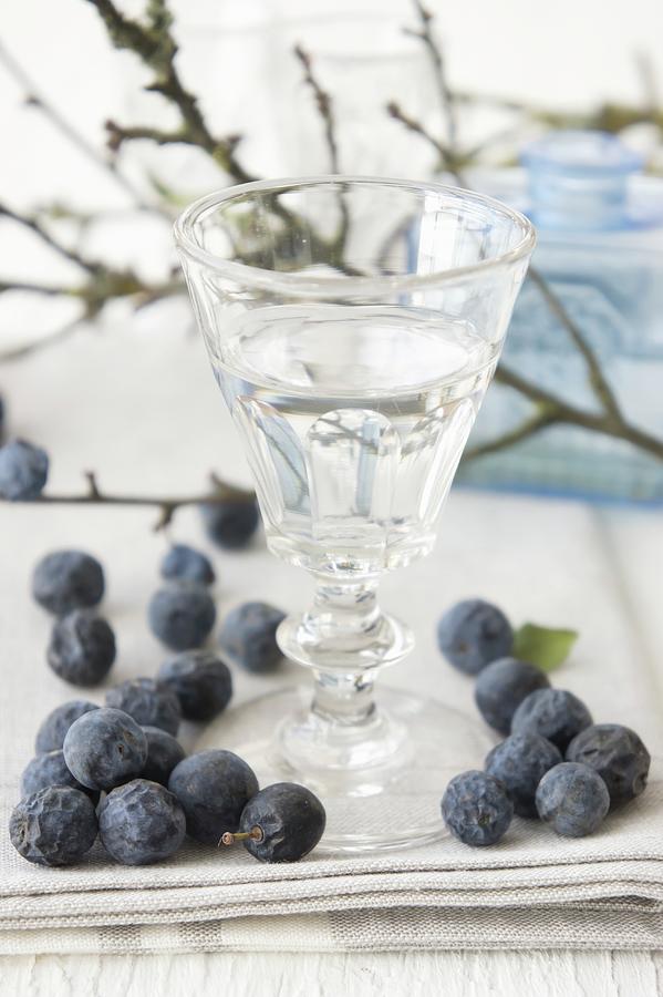 A Glass Of Sloe Schnapps Photograph by Martina Schindler