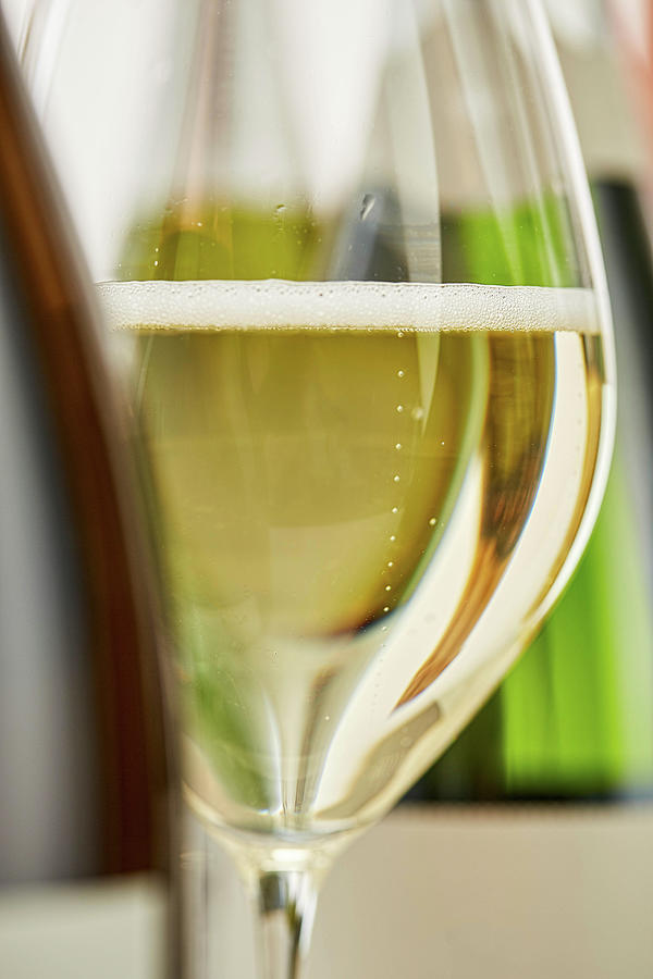 A Glass Of Sparkling Wine Photograph by Herbert Lehmann