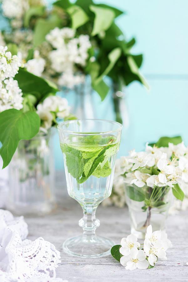 A Glass Of Water With Mint Leaves Photograph by Irina Meliukh