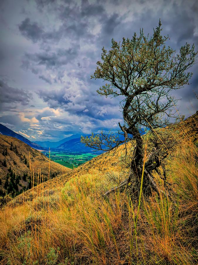 A Glimpse of the Valley by Tara Turner A Glimpse of the Valley by Tara Turner