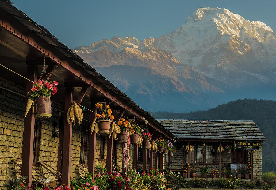 A glowing fall day in the Himalayas Photograph by Leslie Struxness