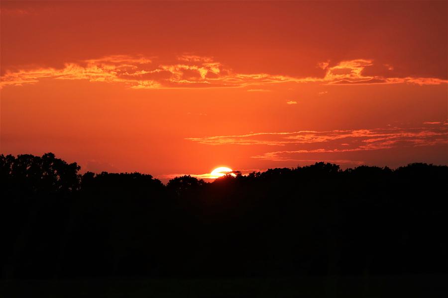 A Golden Sunset  Photograph by Sheila Brown