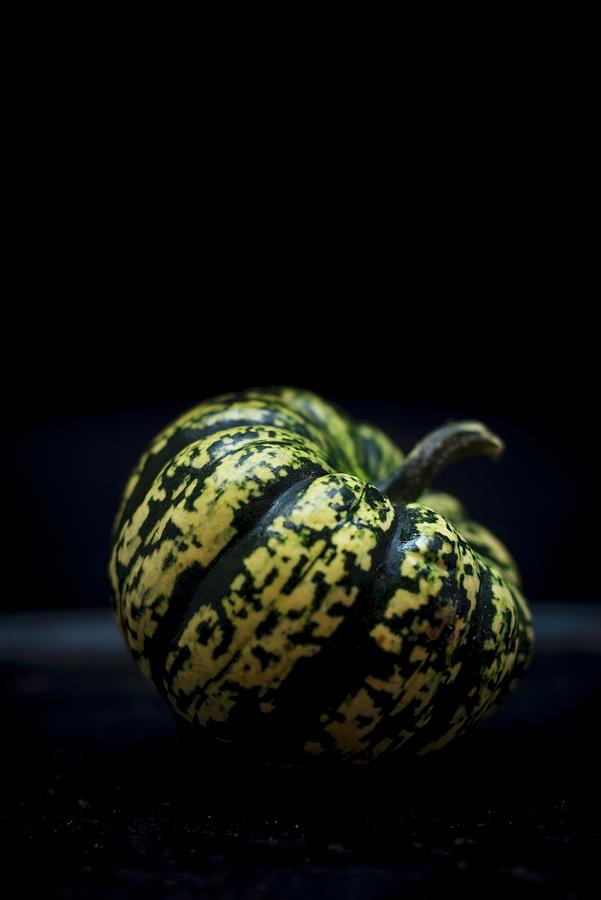 A Green And White Pumpkin Against A Dark Background Photograph by Nitin Kapoor