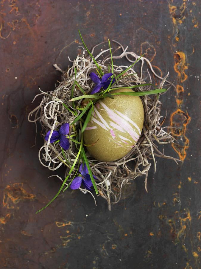 A Green Decorated Egg For Easter In A Nest Photograph by Kng, Ruth