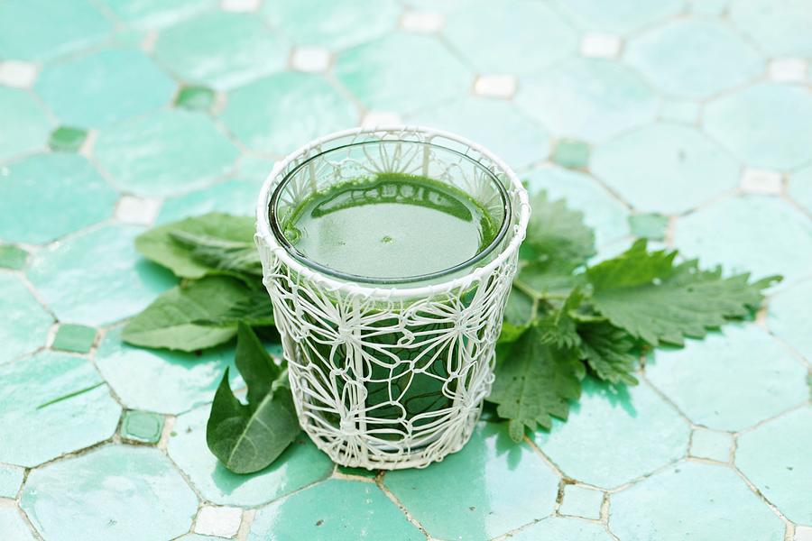 A Green Smoothie With Stinging Nettles And Dandelion Photograph by Petr Gross
