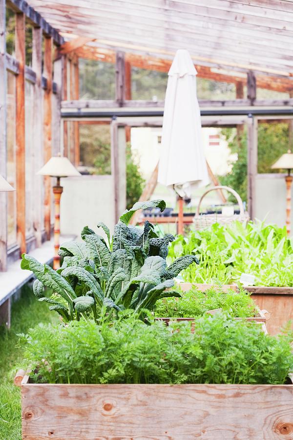 A Greenhouse With Large Planter Boxes And Decorative Lamps Photograph by Jennifer Martine