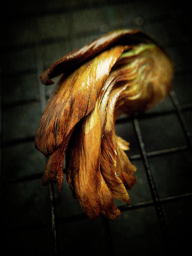 A Grilled Artichoke close-up Photograph by Vadim Piskarev
