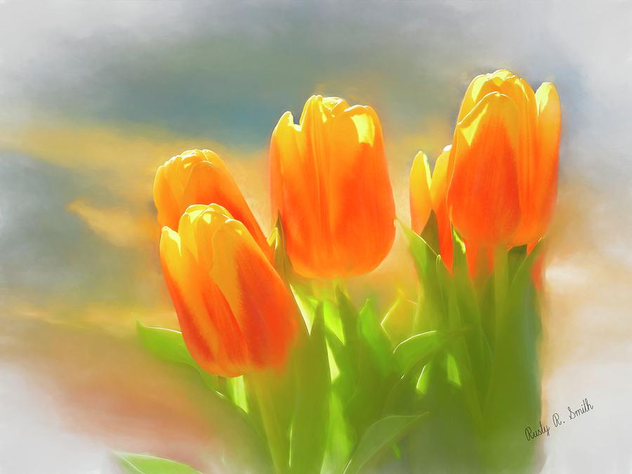 A group of orange and yellow tulips. by Rusty R Smith A group of orange and yellow tulips. by Rusty R Smith