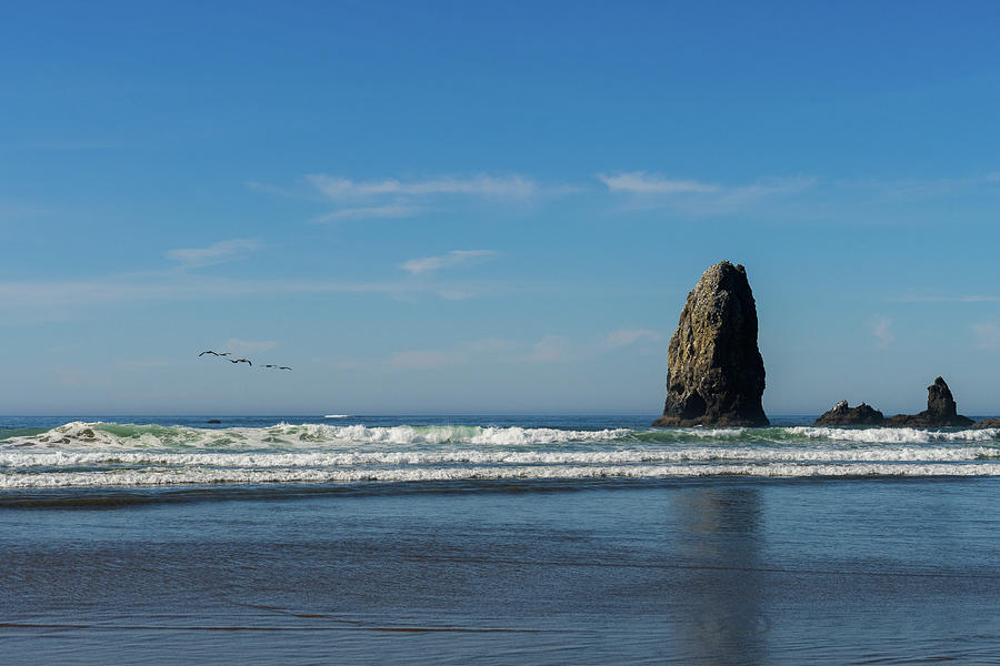 A Group Of Seagulls Fly Over The Ocean Towards The Vertical Rocks That Stand Out In Cannon Beach, Or Photograph