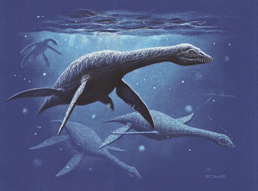 A Group Of The Plesiosaur Species Photograph by Esther van Hulsen