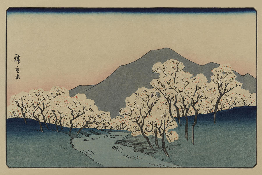 Hiroshige Painting - A Grove of Cherry Trees (Sakura namiki zu) by Ando Hiroshige