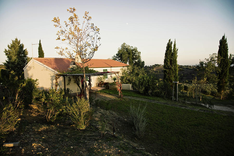 A Guest House In A Vineyard Landscape, Le Pupille Vineyard, Maremma, Tuscany, Italy Photograph by Torri Tre