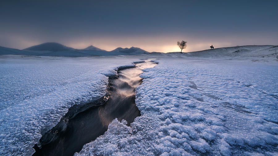 Winter Photograph - A Gurgling Stream by Bingo Z