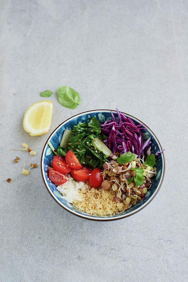 A Healthy Vegetable Bowl With Shoots, Red Cabbage And Tomatoes Photograph by Amanda Stockley
