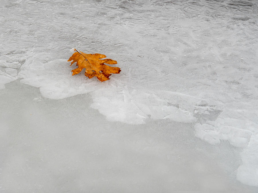 A heart in the winter by Alessandra RC A heart in the winter by Alessandra RC