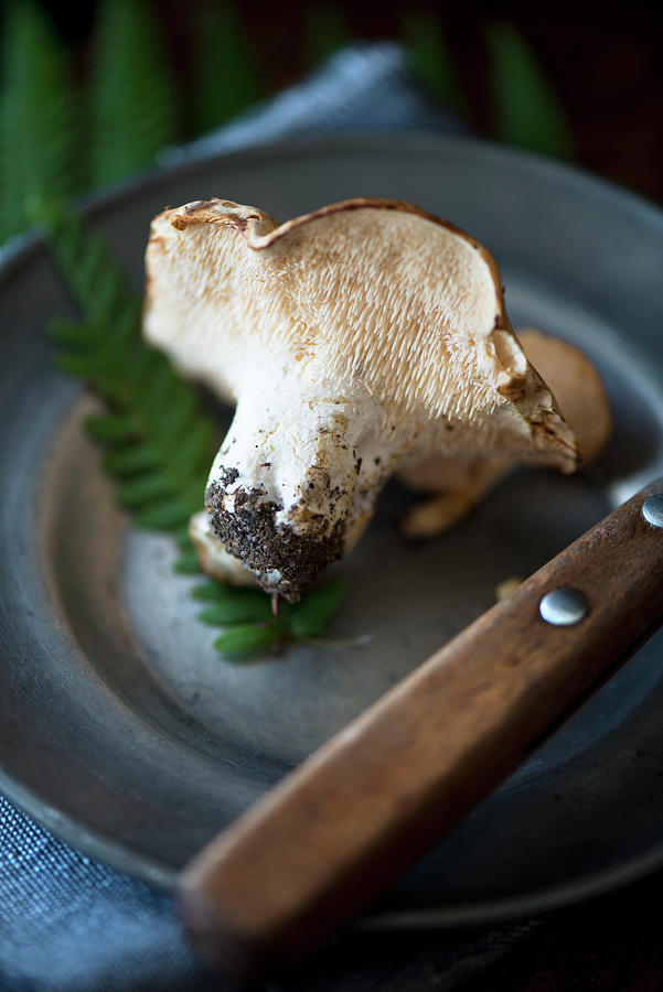 A Hedgehog Mushroom hydnum Repandum On A Pewter Plate With Fern Leaves And A Knife Photograph by Jamie Watson