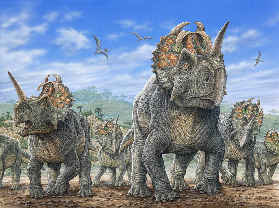 A Herd Of Centrosaurus Dinosaurs Photograph by Phil Wilson - Fine Art ...