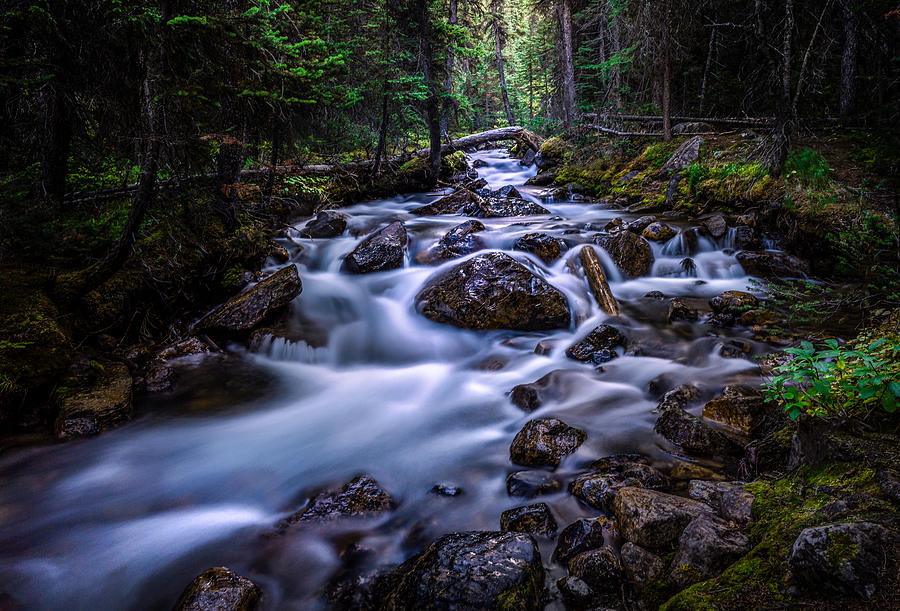 A Hidden Creek Photograph by Bing Li
