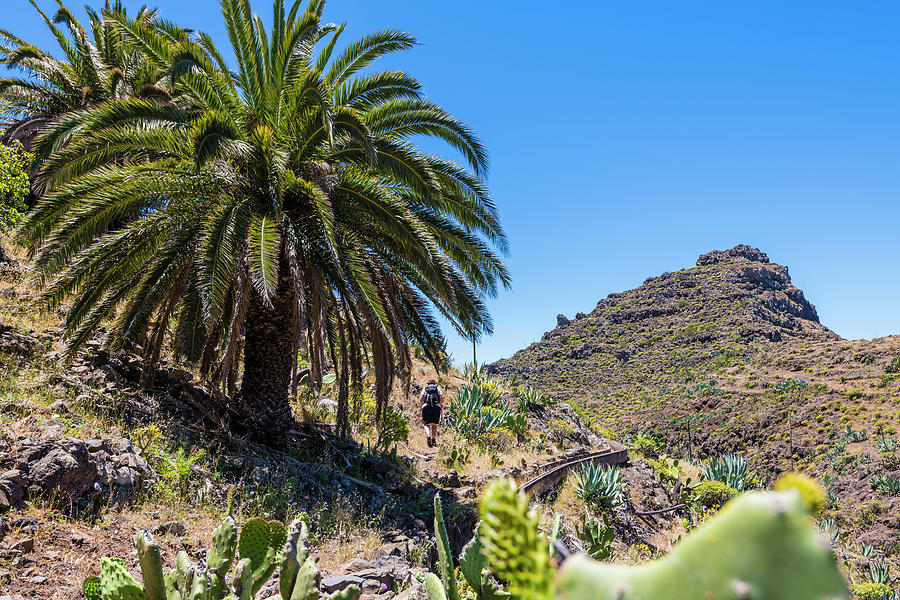 A Hiker In An Unspoiled Landscape In The Garajonay National Park, Valle Gran Rey, La Gomera, Canary Islands, Spain Photograph by Helge Bias