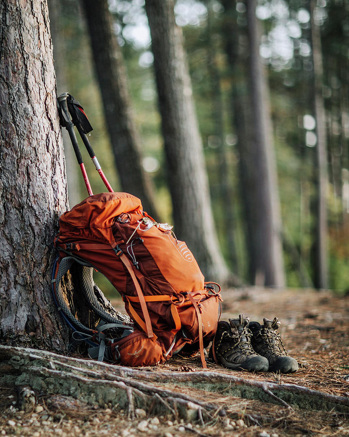 A Hiking Pack, Trekking Poles And Hiking Boots Sit Next To A Tree Photograph by Cavan Images
