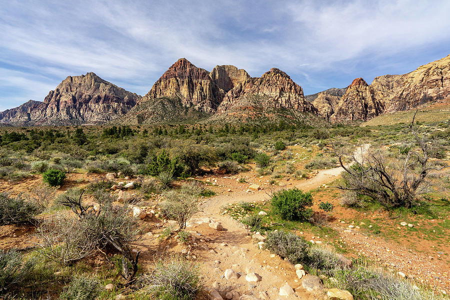 A Hiking Trail in Red Rock Canyon Photograph by Daniel Woodrum