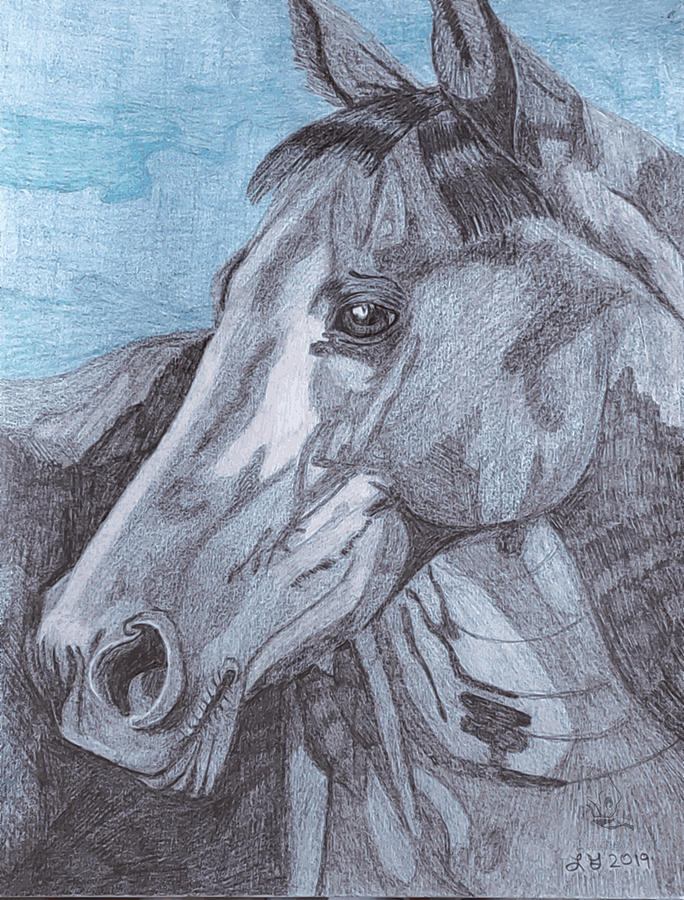 A Horse for Arthur Drawing by Equus Artisan