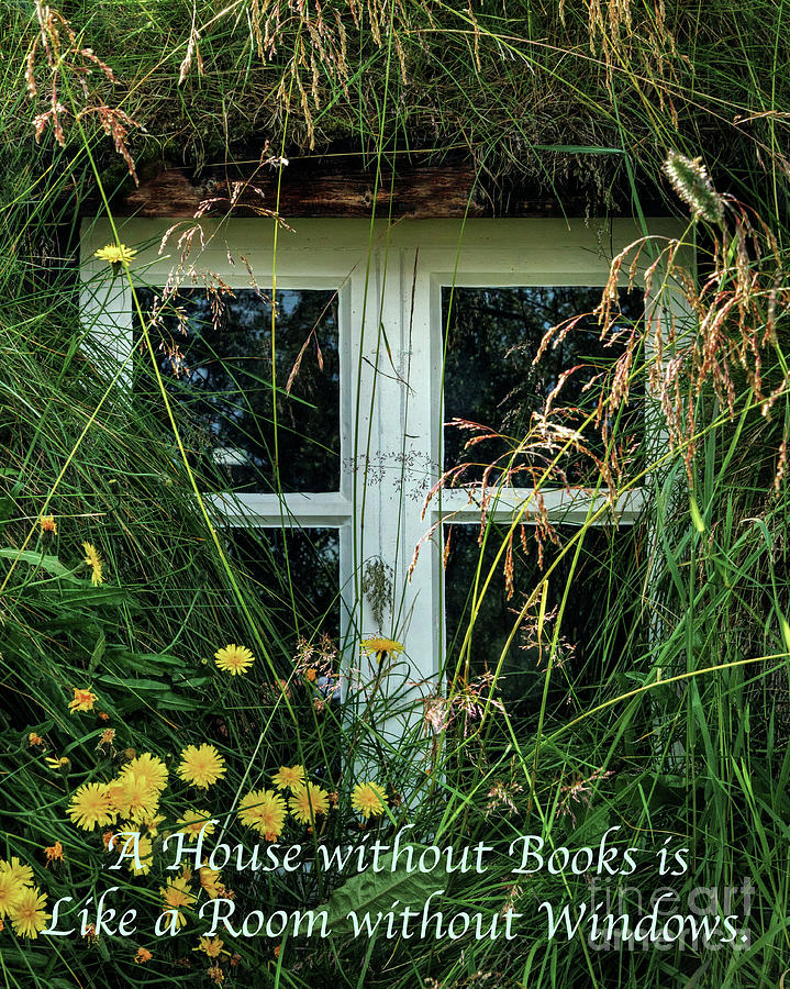 A House without Books Photograph by Roxie Crouch