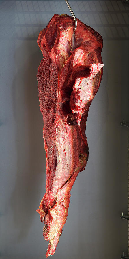 A Hung Piece Of Meat Photograph by Hugh Johnson