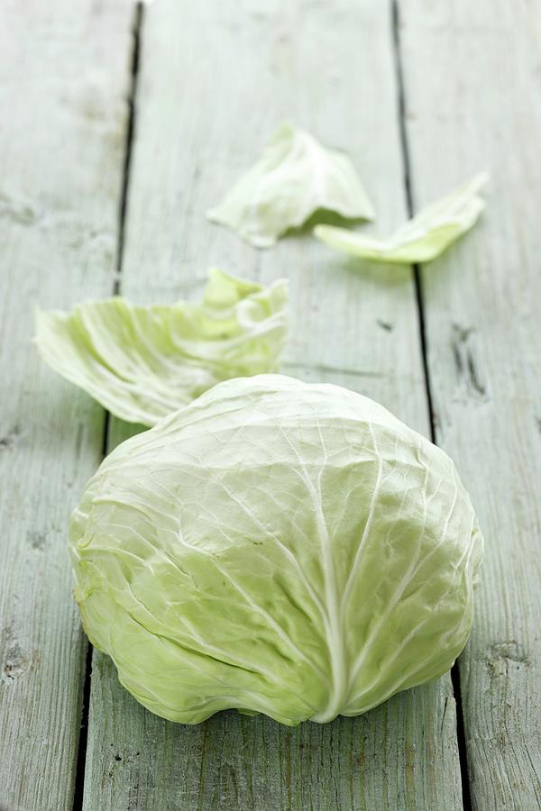 A Jaroma Cabbage Photograph by Petr Gross