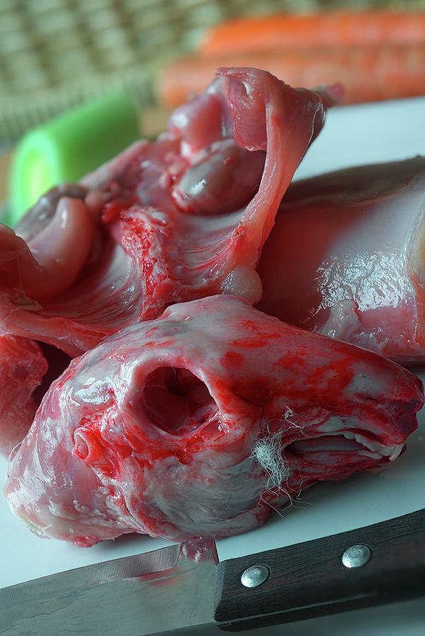 A Jointed Rabbit, Ready To Cook Photograph by Dr. Martin Baumgrtner