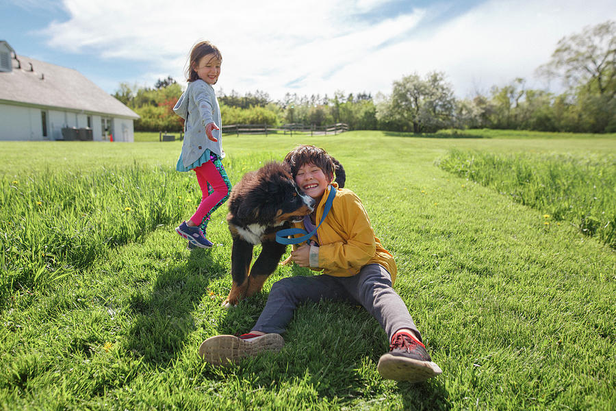 Spring Photograph - A Joyful Boy Wrestles With A Puppy, Smiling Sister In Background by Cavan Images