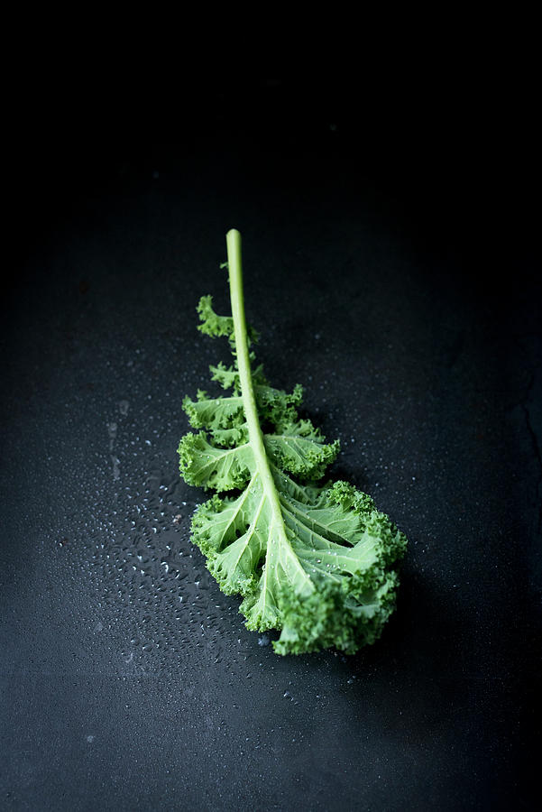 A Kale Leaf On A Dark Background Photograph by Manuela Rther