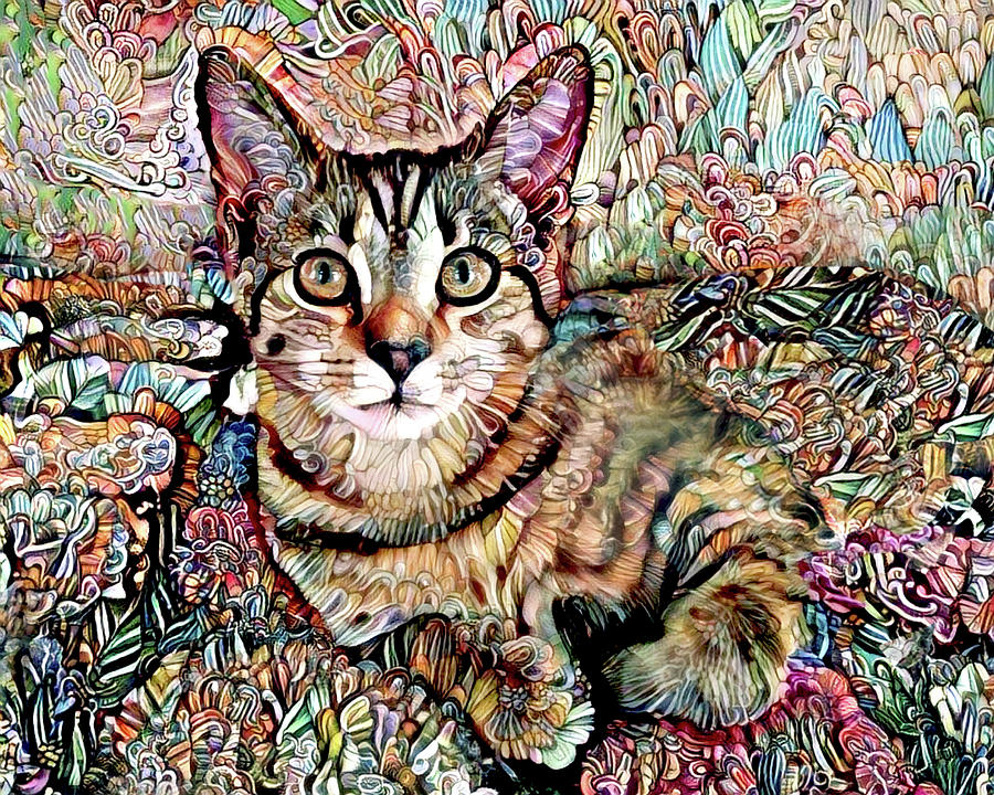A Kitten Named Prada Digital Art by Peggy Collins