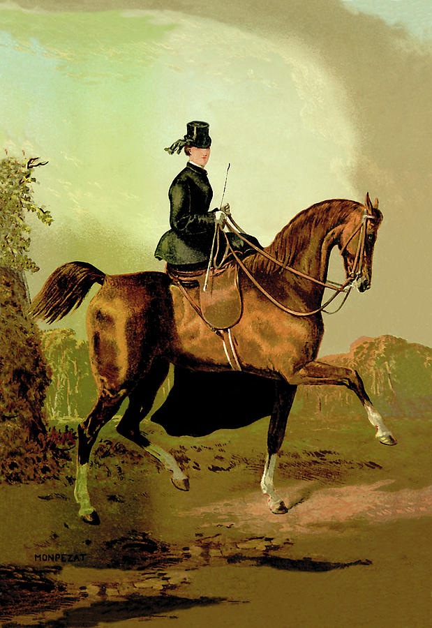 A Ladies Horse Painting by Samuel Sidney