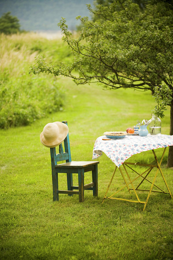 A Laid Table In A Garden Photograph by Colin Cooke
