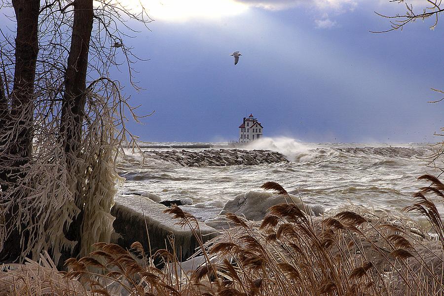 A Lake Erie Winter Photograph by Robert Bodnar - Pixels