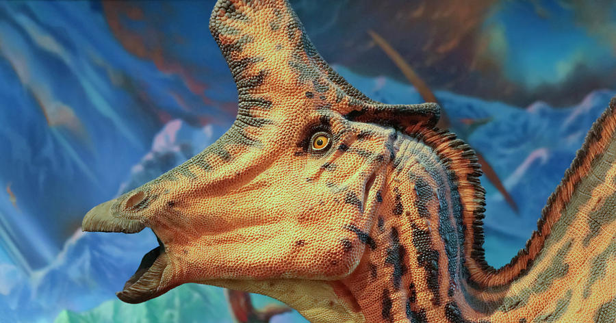 Prehistoric Photograph - A Lambeosaurus Exhibit at The Nat, San Diego, CA, USA by Derrick Neill