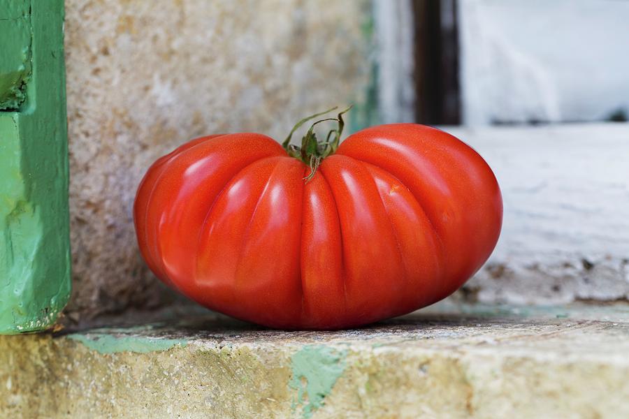 A Large Beefsteak Tomato On A Window Ledge Photograph by Cath Lowe